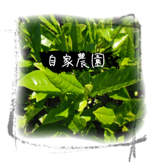 自家製