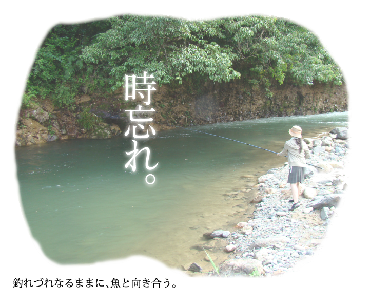 釣れづれなるままに、魚と向き合う。
