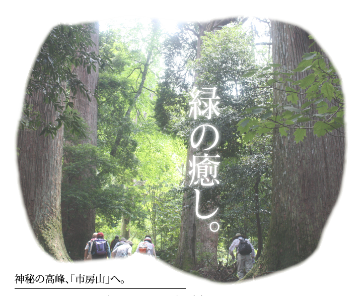 神秘の高峰、「市房山」へ。
