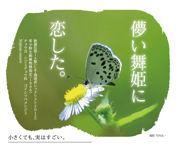 小さくても、実はすごい。