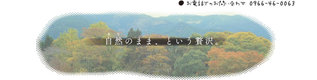 見どころ