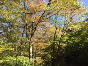 IMG_0405